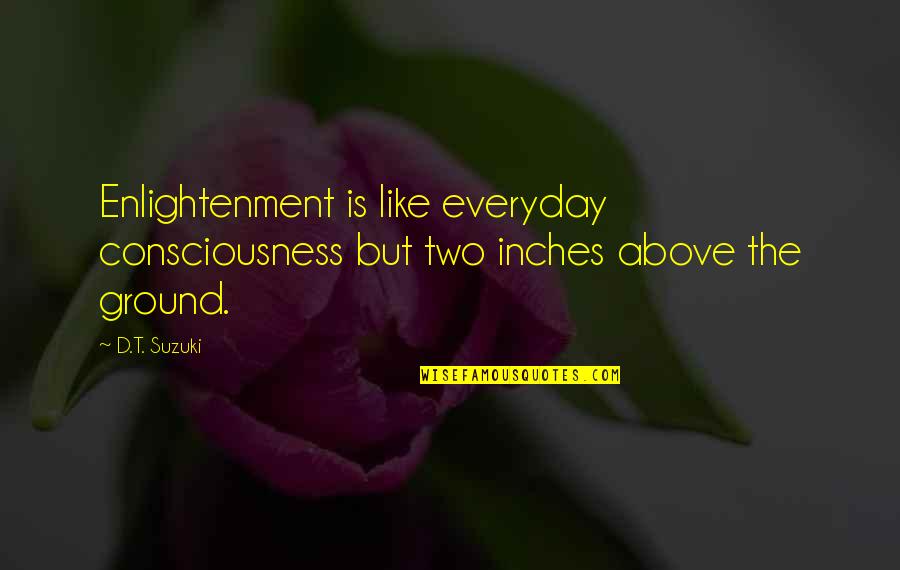 Farrimond Friction Quotes By D.T. Suzuki: Enlightenment is like everyday consciousness but two inches