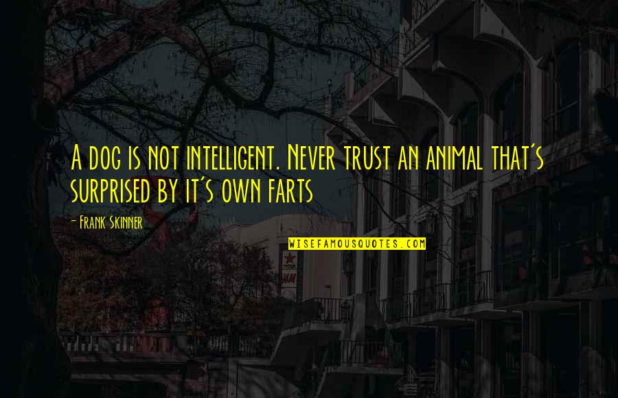 Farts Quotes By Frank Skinner: A dog is not intelligent. Never trust an