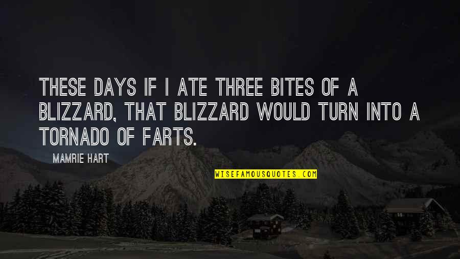 Farts Quotes By Mamrie Hart: These days if I ate three bites of