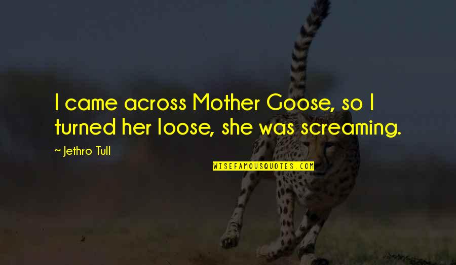 Farukh Khan Quotes By Jethro Tull: I came across Mother Goose, so I turned