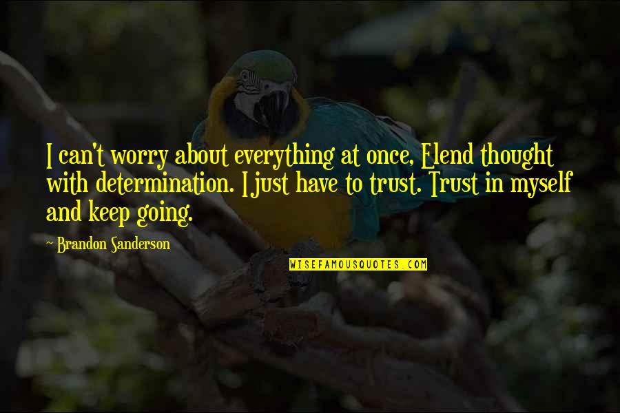 Farva Shenanigans Quotes By Brandon Sanderson: I can't worry about everything at once, Elend
