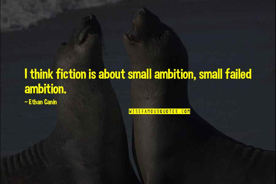 Farzana Bari Quotes By Ethan Canin: I think fiction is about small ambition, small