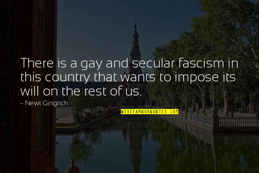 Fascism Quotes By Newt Gingrich: There is a gay and secular fascism in