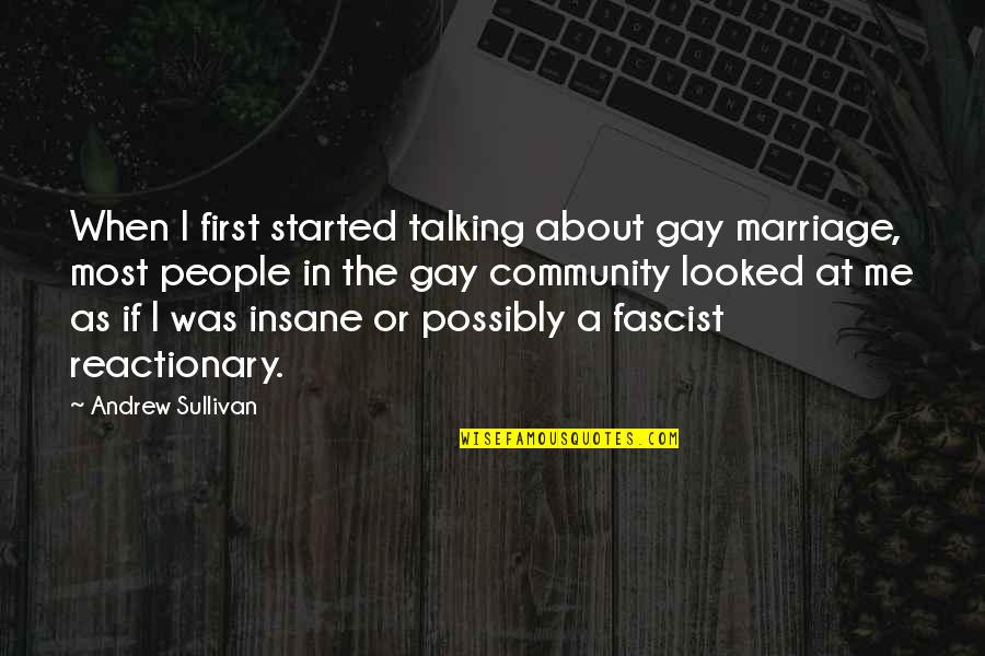 Fascist Quotes By Andrew Sullivan: When I first started talking about gay marriage,
