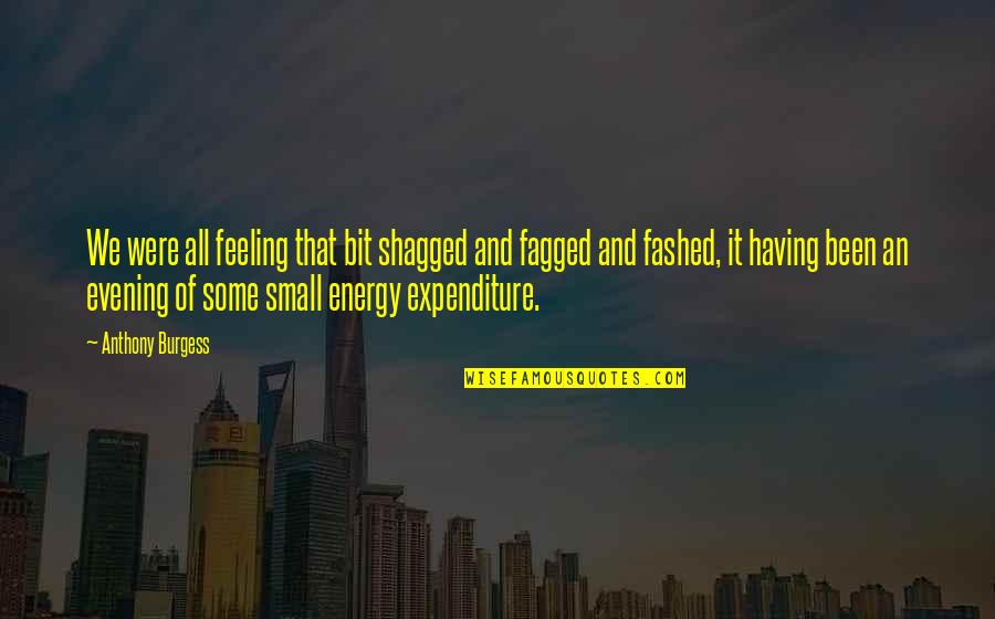 Fashed Quotes By Anthony Burgess: We were all feeling that bit shagged and
