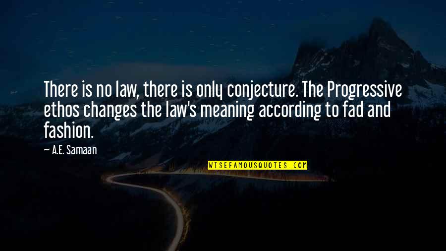Fashion Meaning Quotes By A.E. Samaan: There is no law, there is only conjecture.