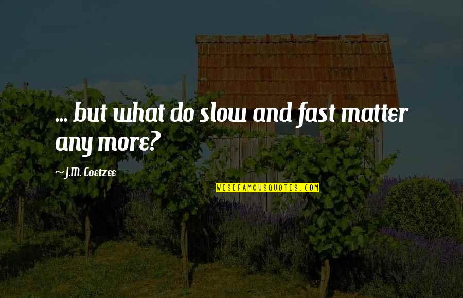 Fast And Slow Quotes By J.M. Coetzee: ... but what do slow and fast matter