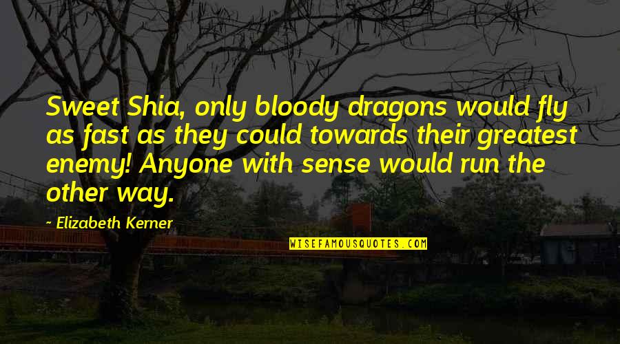 Fast Run Quotes By Elizabeth Kerner: Sweet Shia, only bloody dragons would fly as