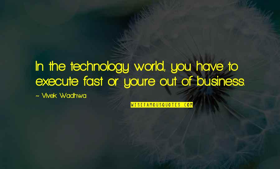Fast World Quotes By Vivek Wadhwa: In the technology world, you have to execute