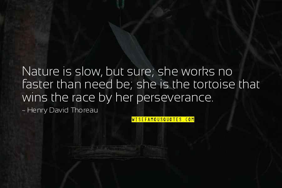 Faster Than Quotes By Henry David Thoreau: Nature is slow, but sure; she works no