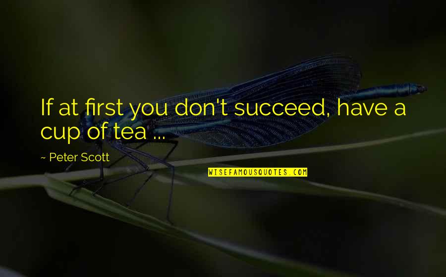 Fastidious In A Sentence Quotes By Peter Scott: If at first you don't succeed, have a