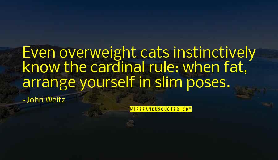 Fat Cat Quotes By John Weitz: Even overweight cats instinctively know the cardinal rule: