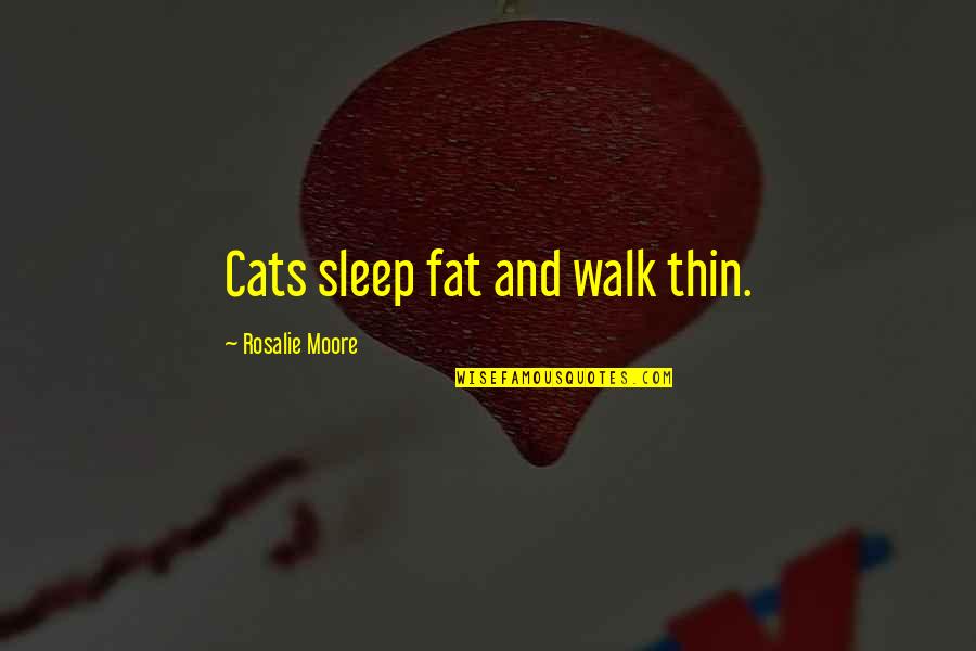 Fat Cat Quotes By Rosalie Moore: Cats sleep fat and walk thin.