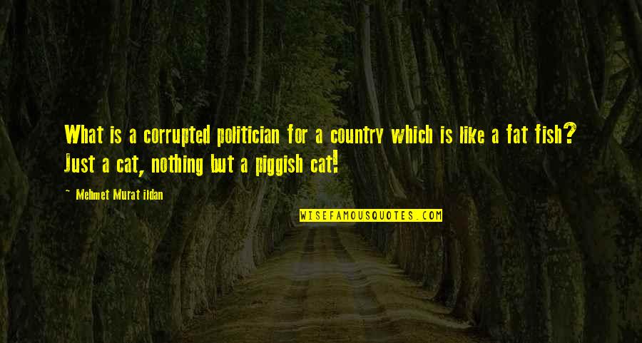 Fat Just Quotes By Mehmet Murat Ildan: What is a corrupted politician for a country Fat Just Quotes By Mehmet Murat Ildan: What is a corrupted politician for a country