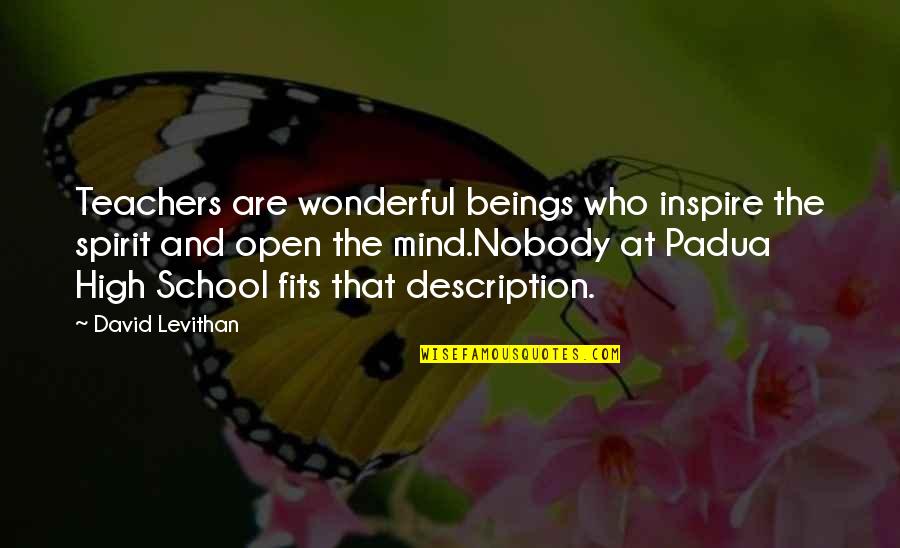 Fatalismo In Hispanic Culture Quotes By David Levithan: Teachers are wonderful beings who inspire the spirit