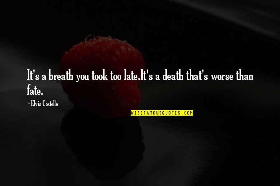 Fate And Death Quotes By Elvis Costello: It's a breath you took too late.It's a