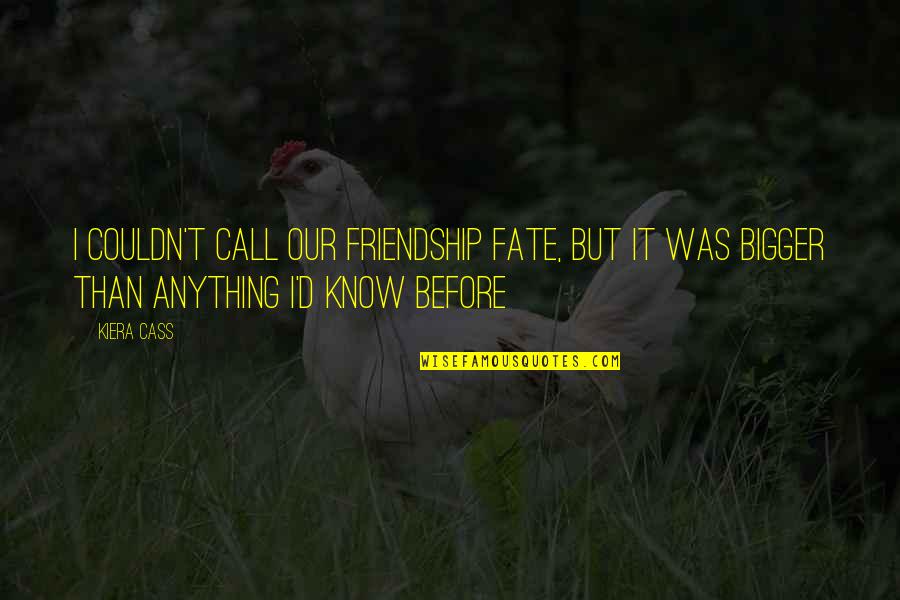 Fate And Friendship Quotes By Kiera Cass: I couldn't call our friendship fate, but it