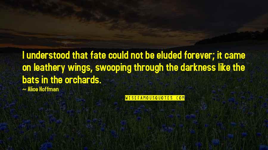 Fate Forever Quotes By Alice Hoffman: I understood that fate could not be eluded Fate Forever Quotes By Alice Hoffman: I understood that fate could not be eluded