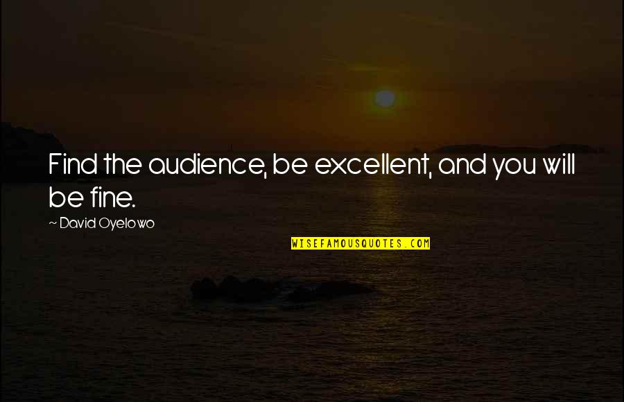 Fateful Encounter Quotes By David Oyelowo: Find the audience, be excellent, and you will