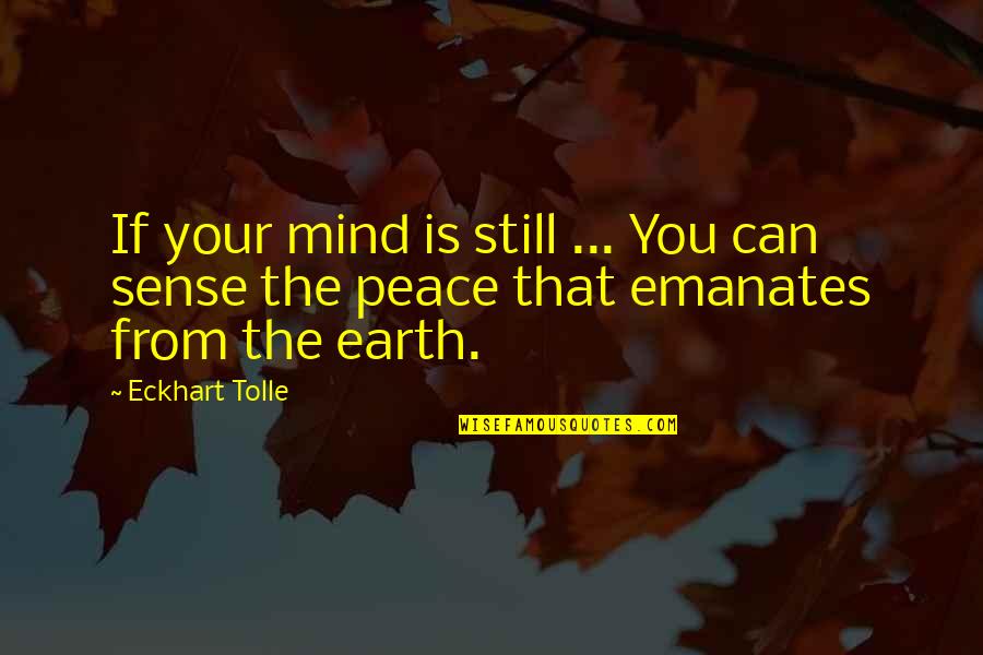 Fateful Meeting Quotes By Eckhart Tolle: If your mind is still ... You can