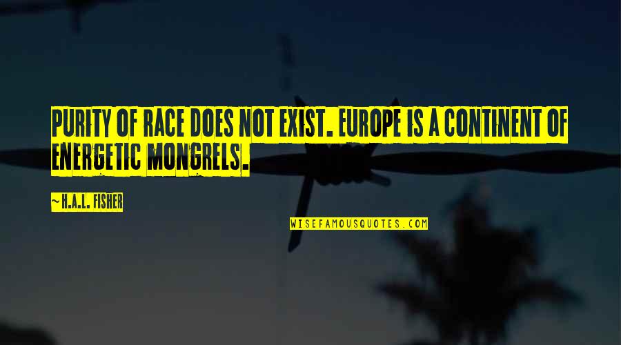 Fates Lanie Bross Quotes By H.A.L. Fisher: Purity of race does not exist. Europe is