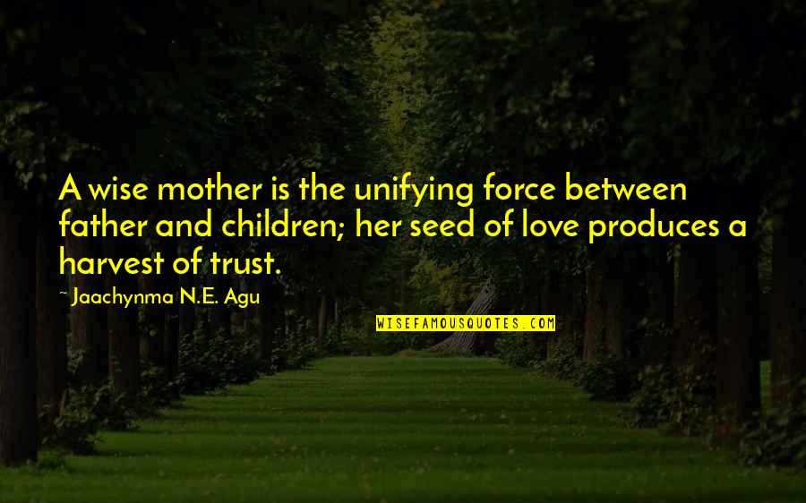 Father And Family Quotes By Jaachynma N.E. Agu: A wise mother is the unifying force between