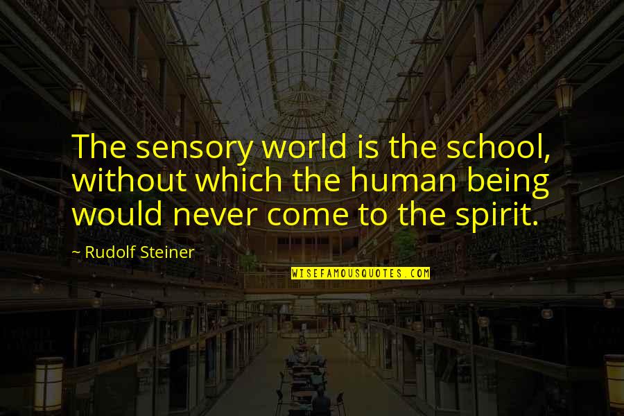 Father Cavanaugh Quotes By Rudolf Steiner: The sensory world is the school, without which