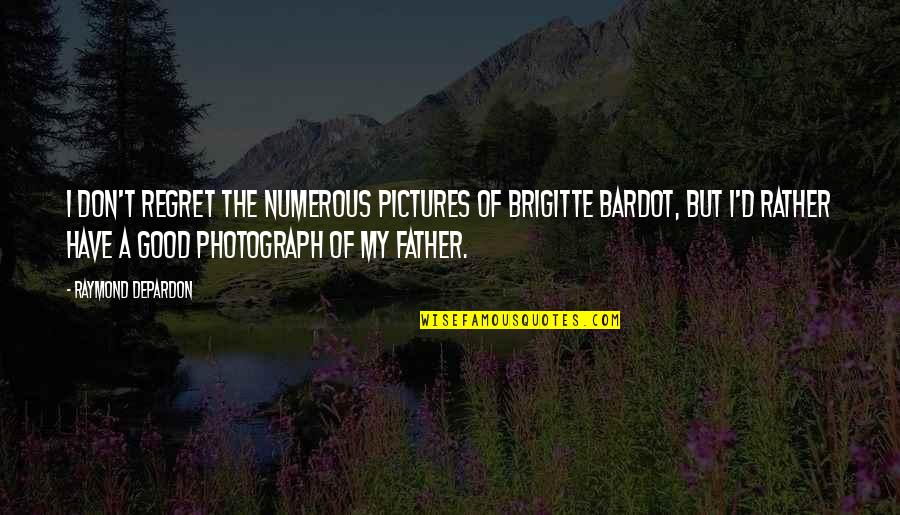 Father D'souza Quotes By Raymond Depardon: I don't regret the numerous pictures of Brigitte
