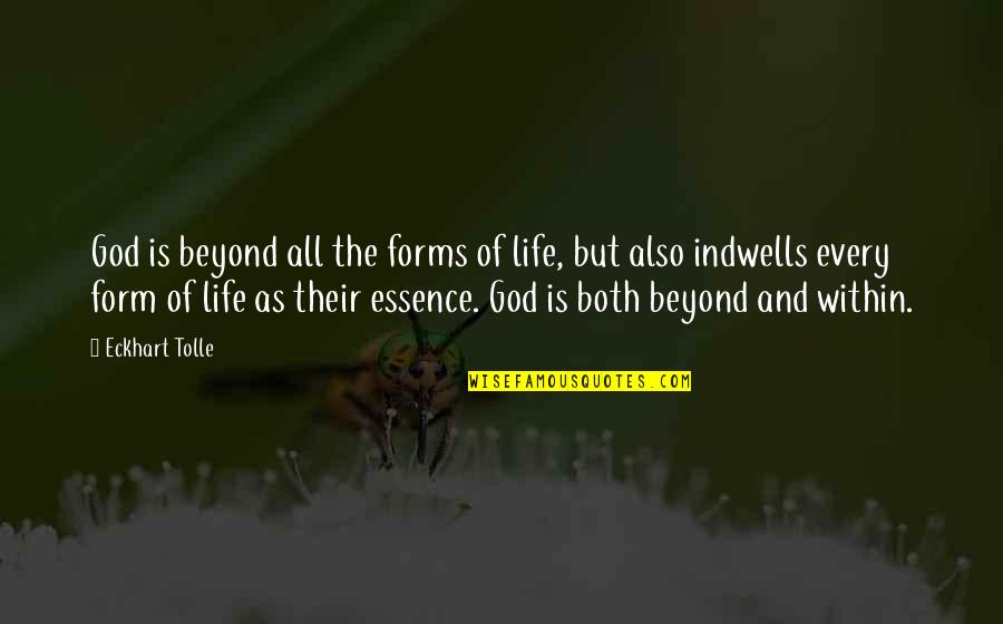 Father Figure Fathers Day Quotes By Eckhart Tolle: God is beyond all the forms of life,