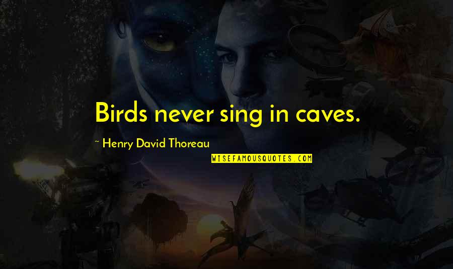 Father Kapaun Quotes By Henry David Thoreau: Birds never sing in caves.