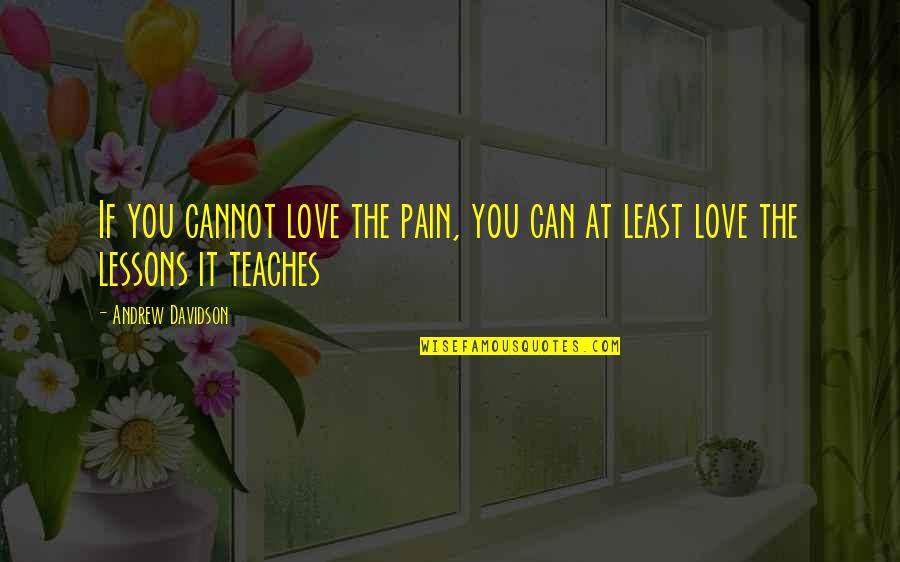 Father Mapple Quotes By Andrew Davidson: If you cannot love the pain, you can