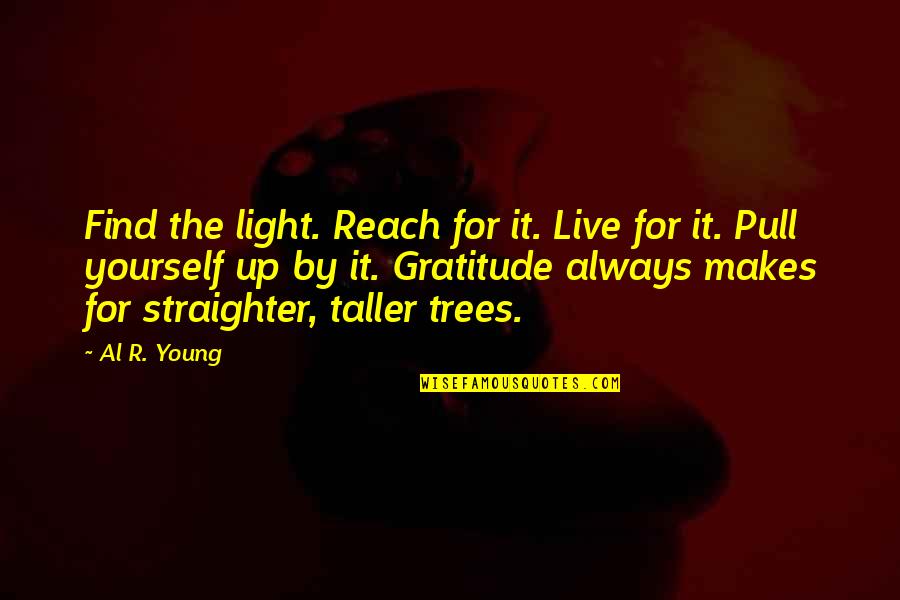 Father Of Atom Bomb Quotes By Al R. Young: Find the light. Reach for it. Live for