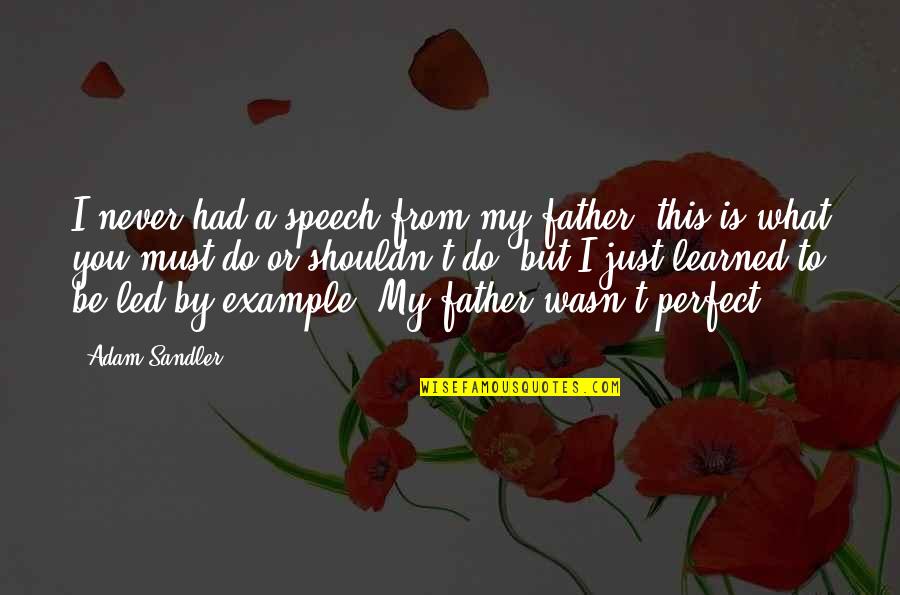 Father Or Quotes By Adam Sandler: I never had a speech from my father