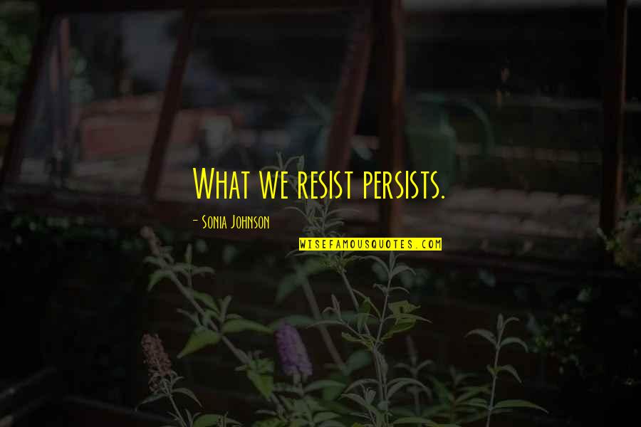 Father Peter Mcverry Quotes By Sonia Johnson: What we resist persists.