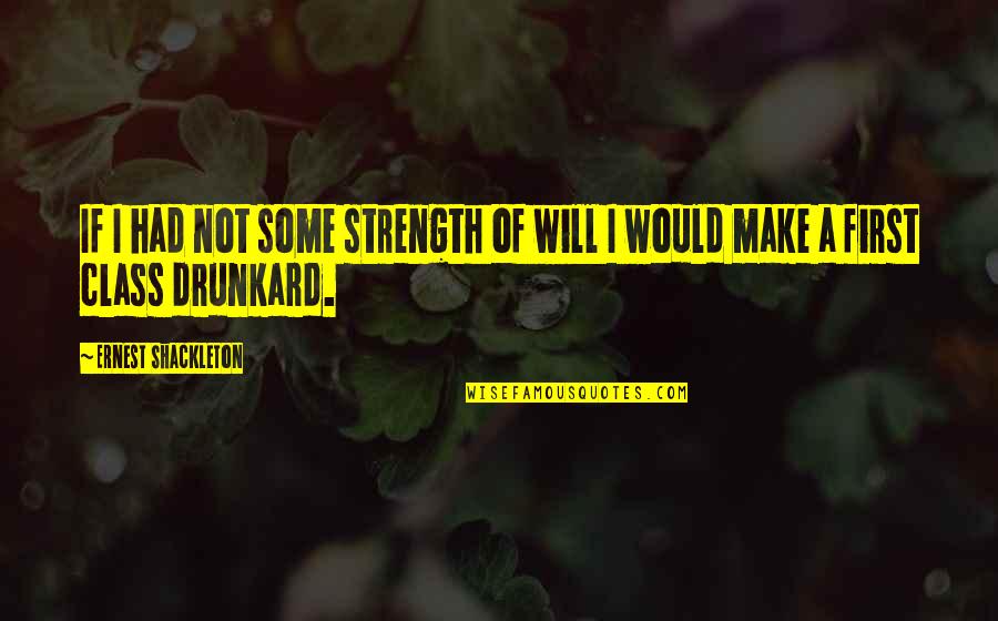 Father Tadej Quotes By Ernest Shackleton: If I had not some strength of will