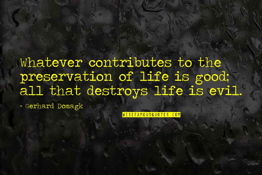 Fatherhood And Life Quotes By Gerhard Domagk: Whatever contributes to the preservation of life is