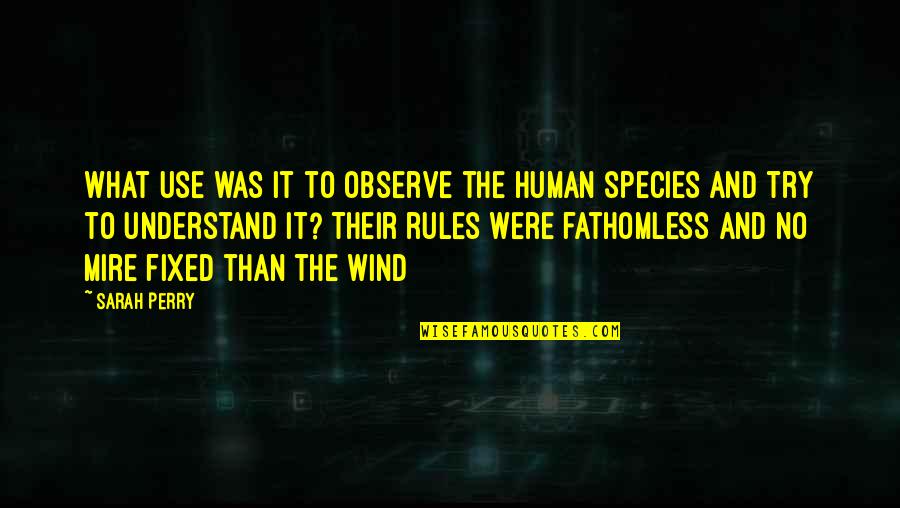 Fathomless Quotes By Sarah Perry: what use was it to observe the human