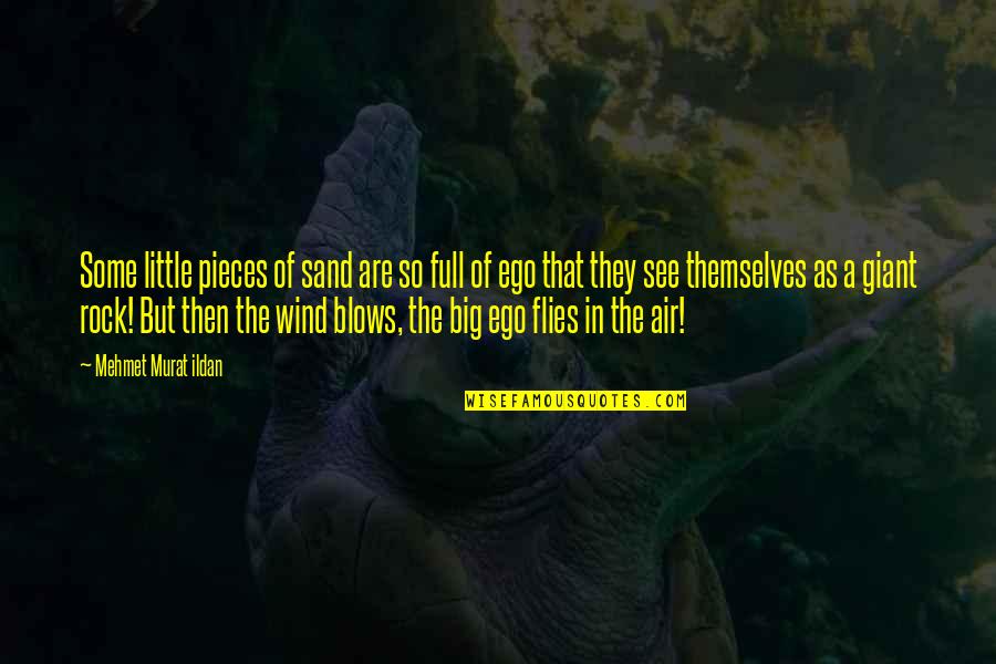 Fatine Hamid Quotes By Mehmet Murat Ildan: Some little pieces of sand are so full Fatine Hamid Quotes By Mehmet Murat Ildan: Some little pieces of sand are so full