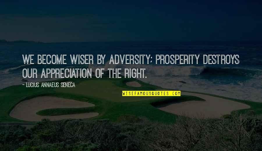Faujdarhat Cadet College Quotes By Lucius Annaeus Seneca: We become wiser by adversity; prosperity destroys our Faujdarhat Cadet College Quotes By Lucius Annaeus Seneca: We become wiser by adversity; prosperity destroys our