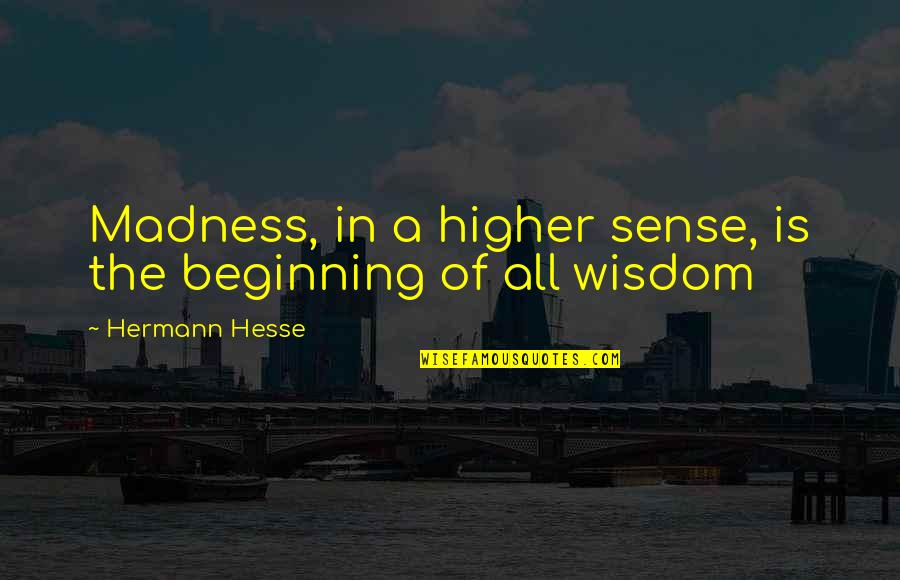 Faulhaber Albertirsa Quotes By Hermann Hesse: Madness, in a higher sense, is the beginning
