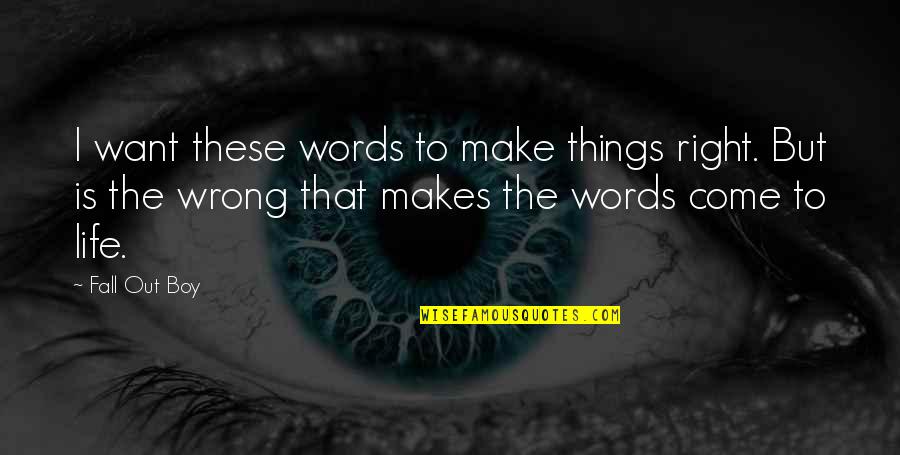 Fault Line Quotes By Fall Out Boy: I want these words to make things right.