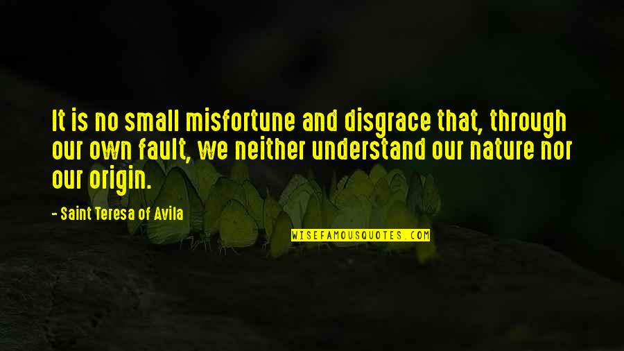 Fault Our Quotes By Saint Teresa Of Avila: It is no small misfortune and disgrace that,