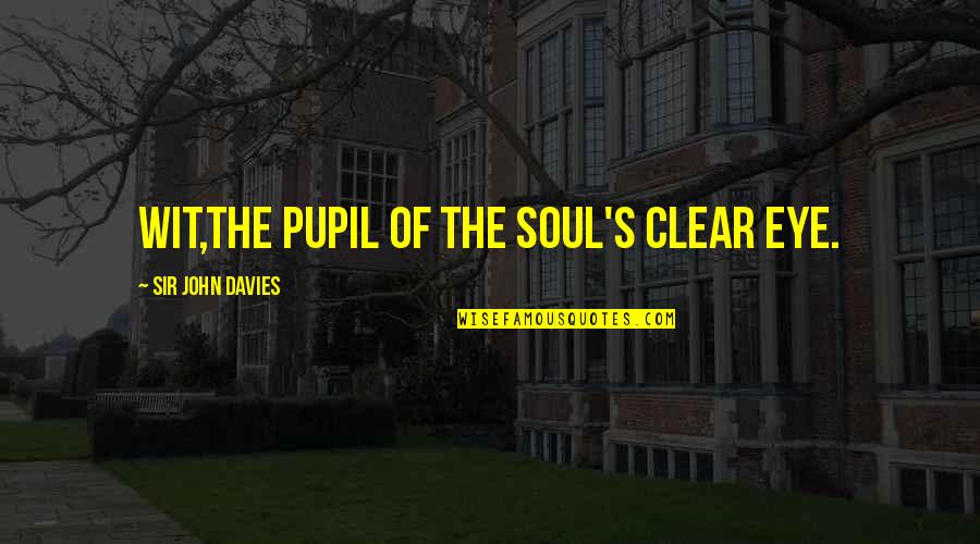 Faustino Sanchez Quotes By Sir John Davies: Wit,the pupil of the soul's clear eye.