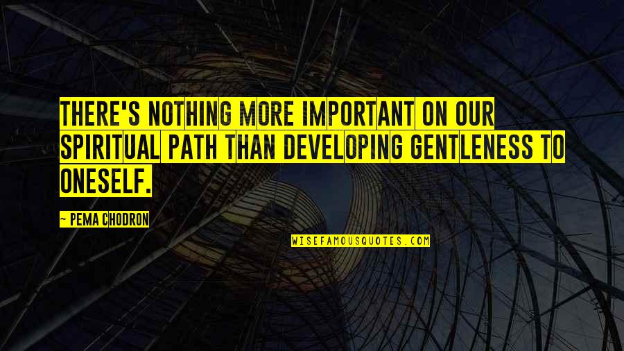 Fauteuil Relax Quotes By Pema Chodron: There's nothing more important on our spiritual path Fauteuil Relax Quotes By Pema Chodron: There's nothing more important on our spiritual path