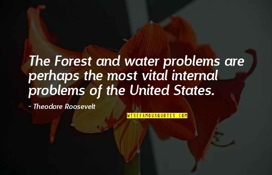 Faviana Prom Quotes By Theodore Roosevelt: The Forest and water problems are perhaps the