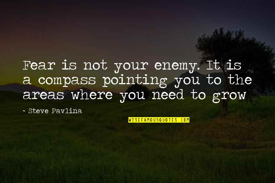 Favim Inspirational Quotes By Steve Pavlina: Fear is not your enemy. It is a