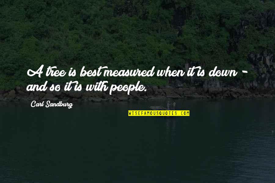 Favores Youtube Quotes By Carl Sandburg: A tree is best measured when it is
