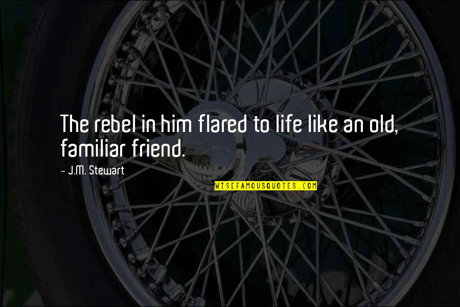Favorite Friend Quotes By J.M. Stewart: The rebel in him flared to life like