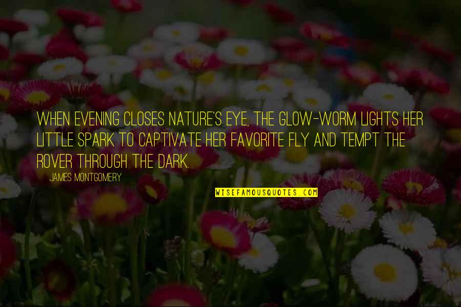 Favorite Nature Quotes By James Montgomery: When evening closes Nature's eye, The glow-worm lights