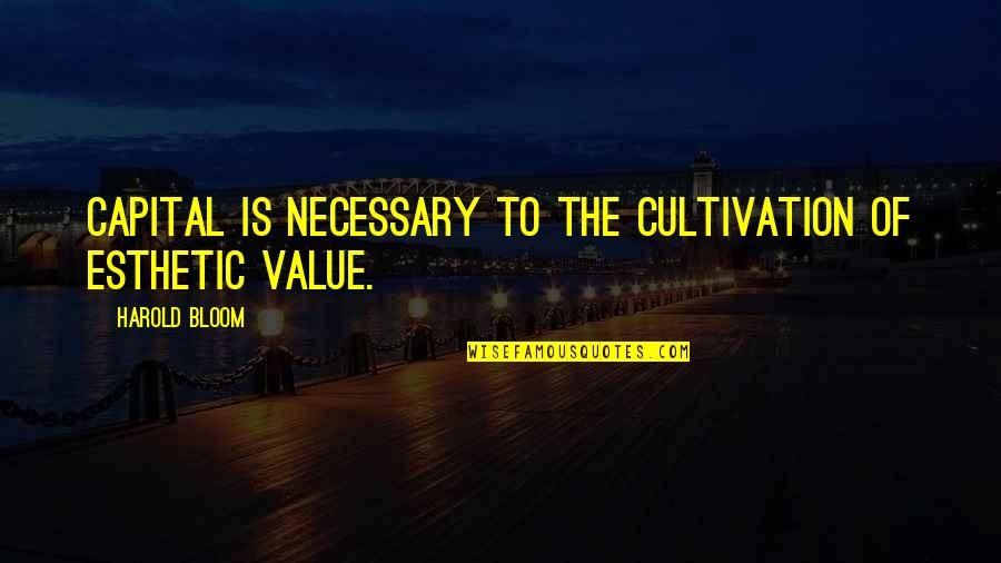 Favorite Place In The World Quotes By Harold Bloom: Capital is necessary to the cultivation of esthetic Favorite Place In The World Quotes By Harold Bloom: Capital is necessary to the cultivation of esthetic